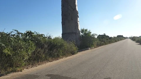 Vertical Pan Of Giant Baobab Tree Along Side Road, Madagascar Stock Footage 117000831