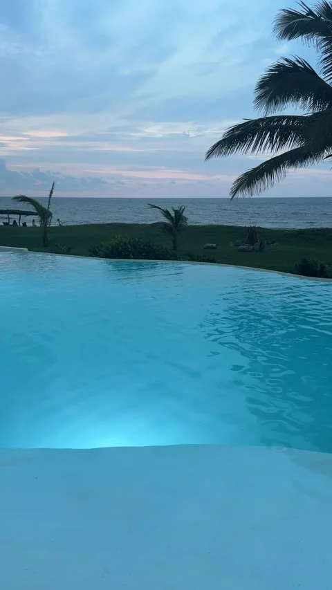 Vertical Pan of Pool with Lights, Palm Trees, and Ocean Stock Footage 314976874