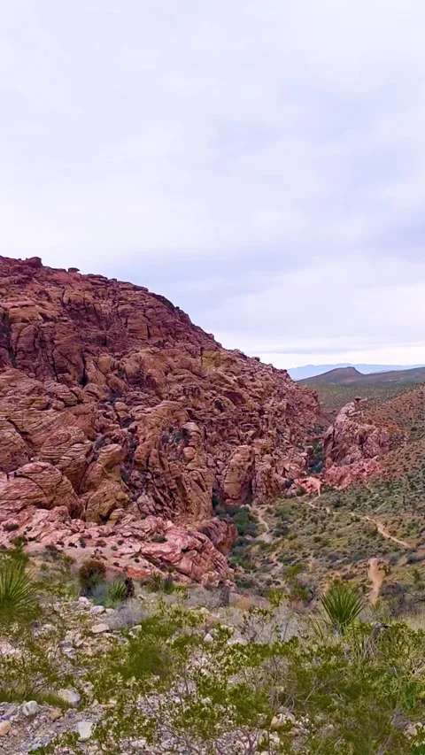 Vertical Pan of Red Rock Landscape Near Las Vegas on Cloudy Rainy Day Stock Footage 333710643
