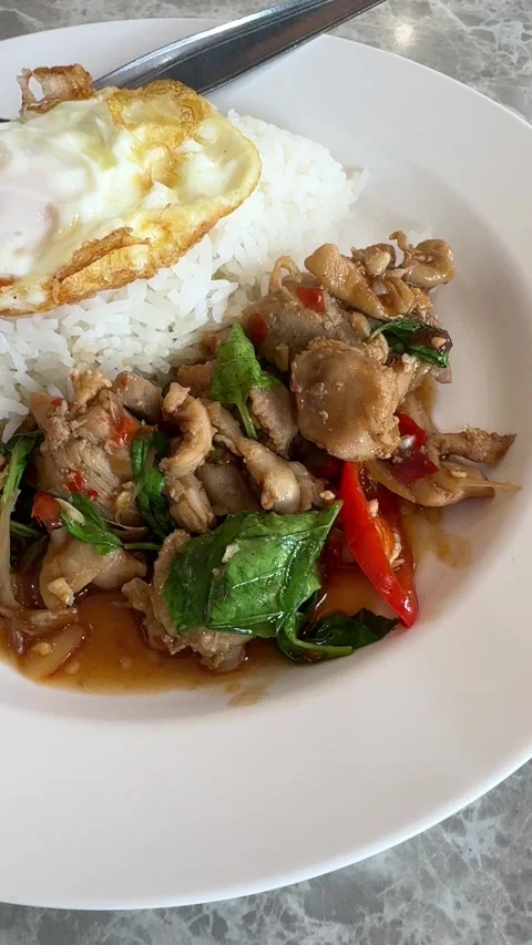 Vertical Pan Right Shot Of Thai Holy Basil Chicken Rice And Fried Egg Stock Footage 343725802