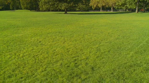 Vertical pan shot park Stock Footage 272141