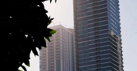 Vertical pan skycraper in San Francisco #1 Video stock 78316894