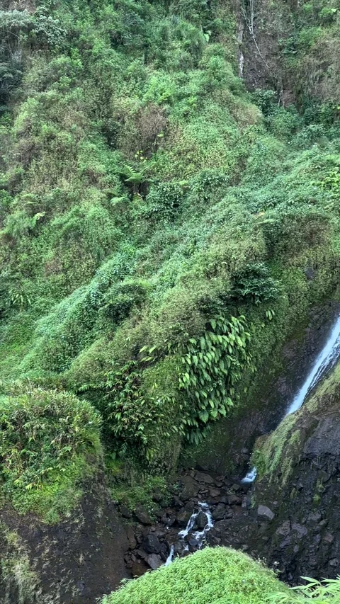 Vertical Pan Up Tall Waterfall and Cascading Streams in Tropical Forest Stock Footage 323908124