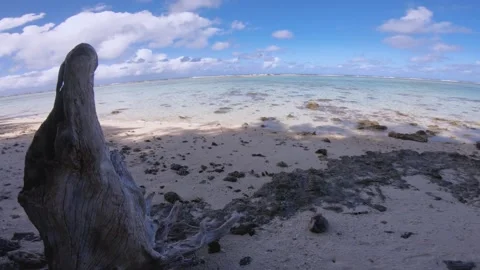Vertical pane view along close up of a piece of draft wood look out to pacific h Stock Footage 250401959