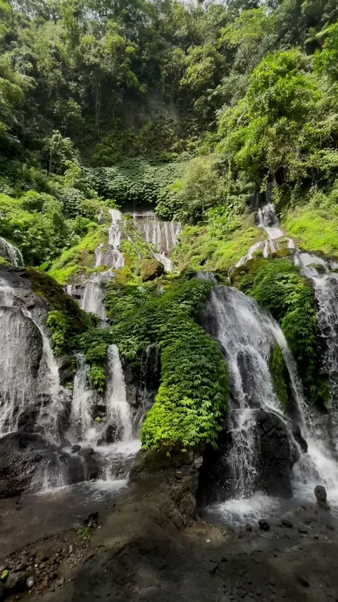 Vertical Panning Shot of Cascading Waterfall in Bali Jungle Stock Footage 340562272