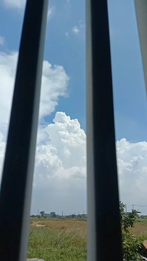 Vertical panning shot of green landscape and blue sky behind fence bars Stock-Footage 333484849