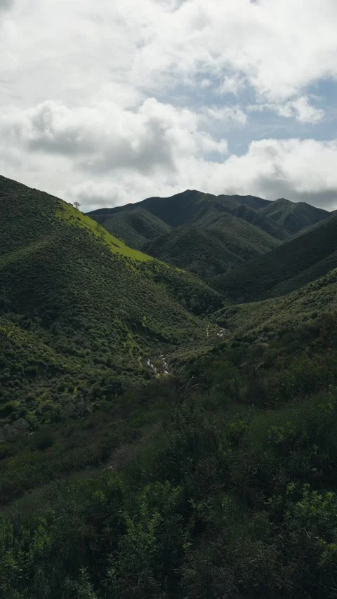 Vertical panning shot over a green rolling hills in California Video stock 329829697