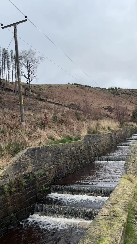 Vertical. Panning shot of overflow canal and tree seedlings on hillside. Video stock 330062397