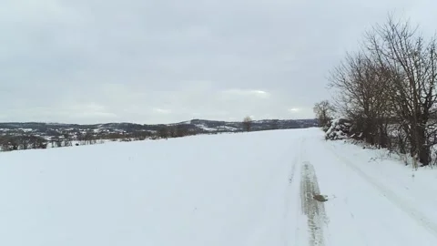 Vertical panning shot of winter landscape under snow Stock Footage 146814847