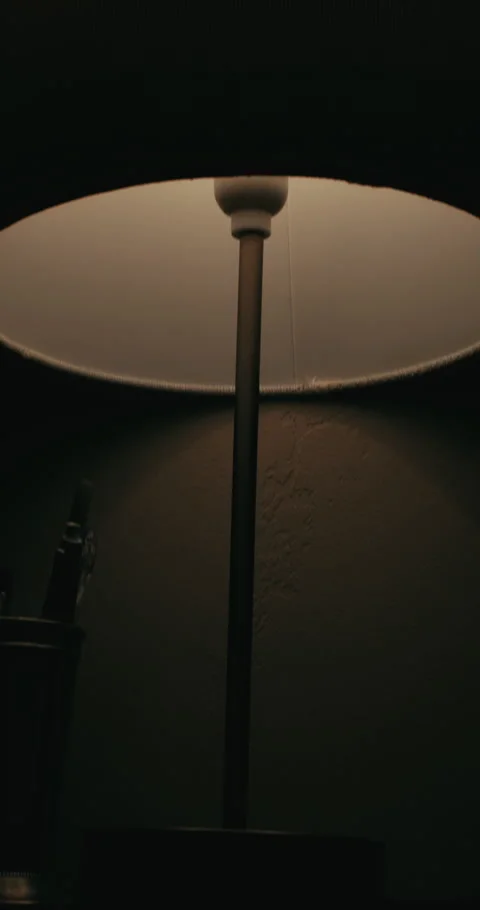 Vertical Panning Tilt Up of Flickering Lamp Creating Shadows Over Pens Stock Footage 326705611