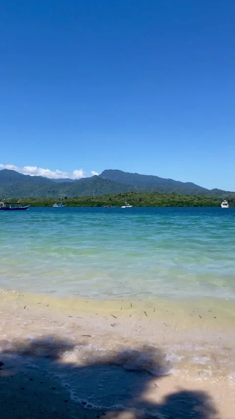 Vertical Panning Tropical Turquoise Beach Bali Stock Footage 335916018