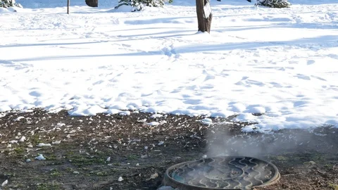 Vertical panorama of heating main in winter Stock Footage 102127075