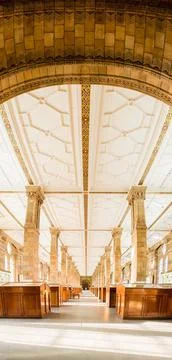 Vertical panorama inside the London Natural History Museum. Stock Photos