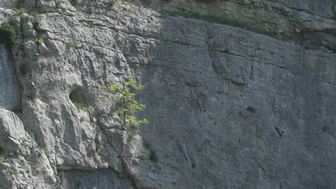 Vertical panorama of the mountain. Amazing view. Climber point. Cliff Video stock 134516160