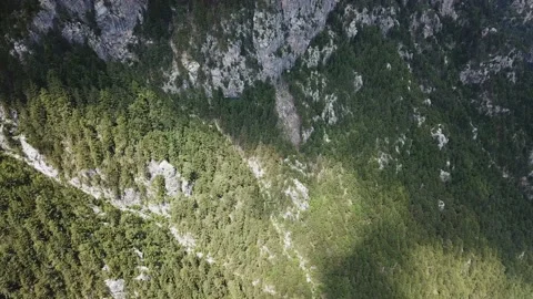 Vertical Panorama of a Mountain Slope with a Forest Stock Footage 237986724