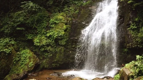 Vertical panorama of mountain waterfall in rainforest 스톡 동영상 80673649