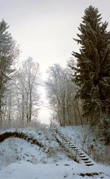 Vertical panorama of old ladder in snowy forest Stock-Fotos