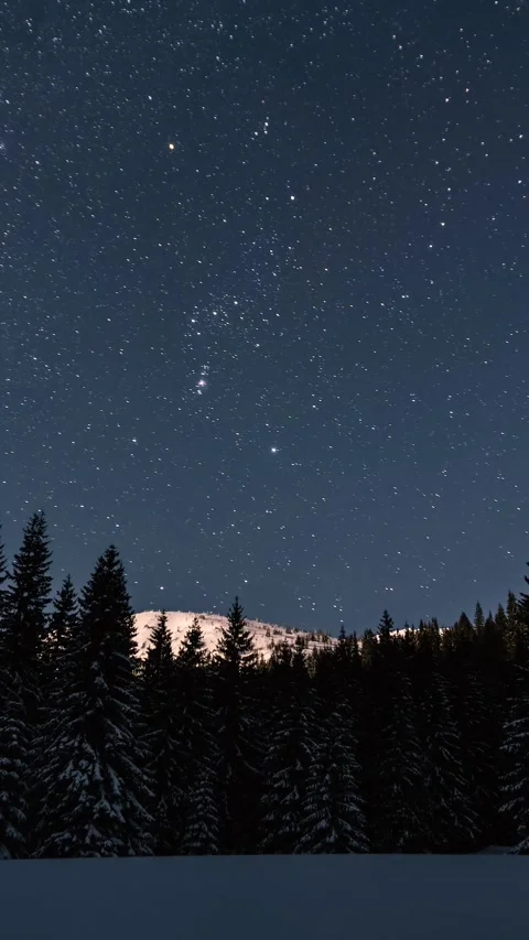 Vertical Panorama of Starry night sky with stars moving over winter forest Stock Footage 277029782
