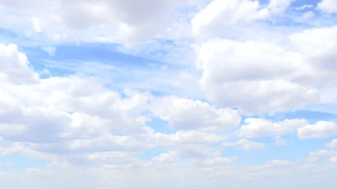 Vertical Panorama of the Sunflower Field Stock Footage 130751147