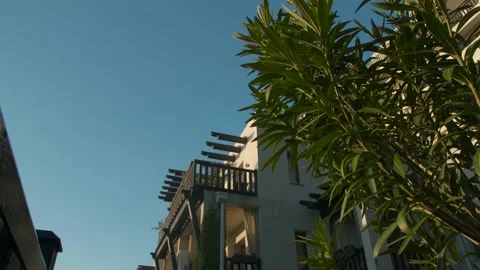 Vertical panorama through the greenery view of the building Stock Footage 130751565