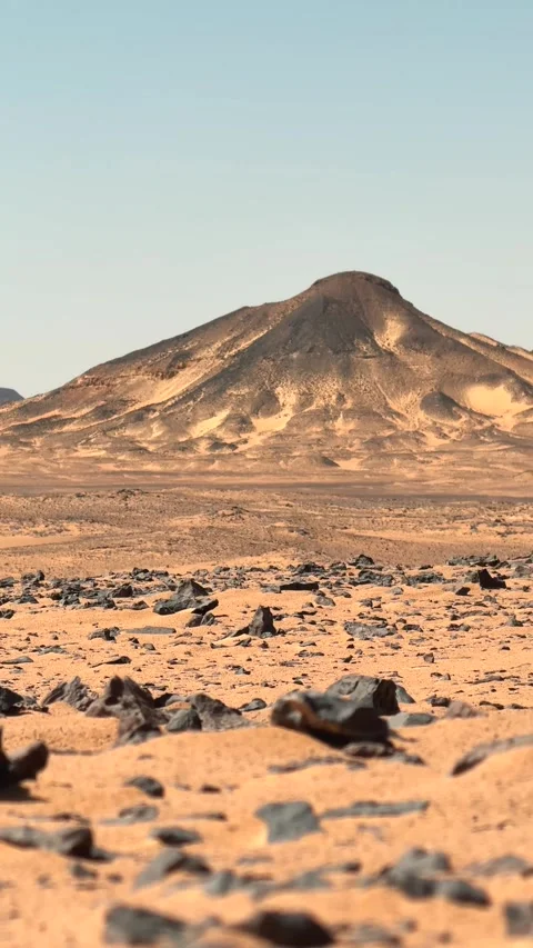 Vertical panorama of volcanic desert plain covered with black basalt stones and 库存影片 340868496