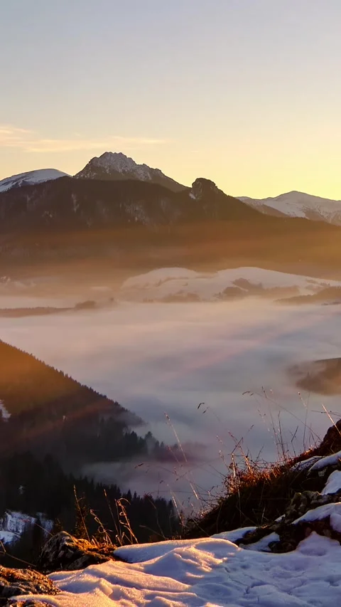 Vertical panoramatic Evening after Sunset in Mountains Forest Alps Nature Video stock 294577817