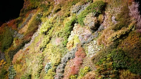 Vertical panoramic Metropolis Building illuminated at night on the Gran Via stre Stock Footage 117863353