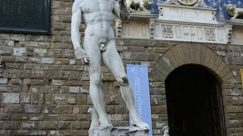 Vertical panoramic of the statue of David in Piazza della Signoria, Florence Vídeos de archivo 83729923