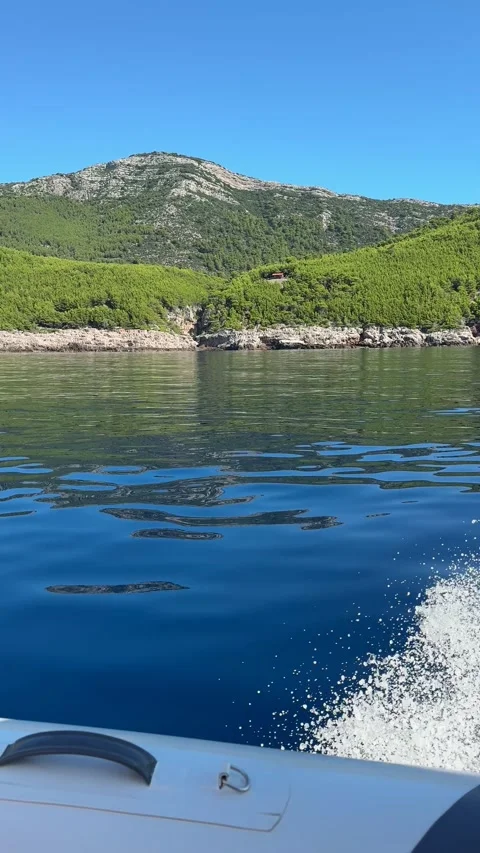 Vertical panoramic view of forested Croatian island and calm waters Stock Footage 319407277