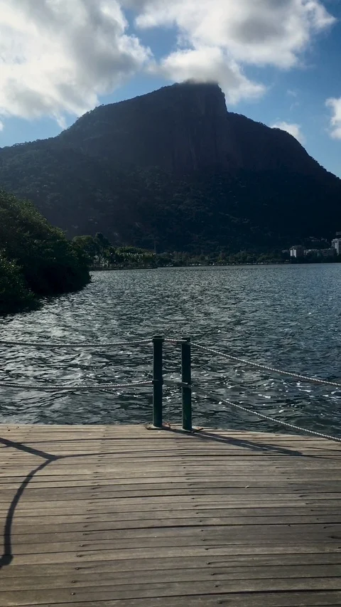 VERTICAL - a panoramic view of Lake Rodrigo de Freitas Stock Footage 109189504