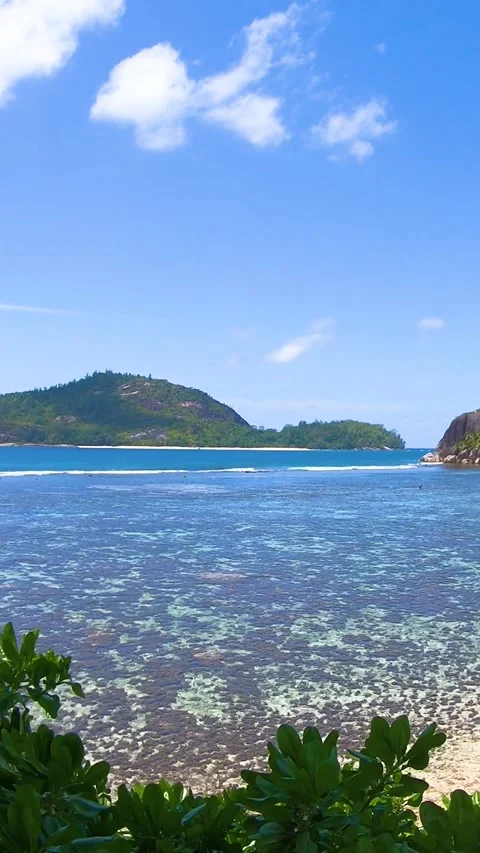 Vertical panoramic view of Port Glaud coral reef Vídeo Stock 343136119