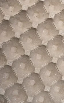 Vertical Paper Egg Carton Texture Background Foto stock