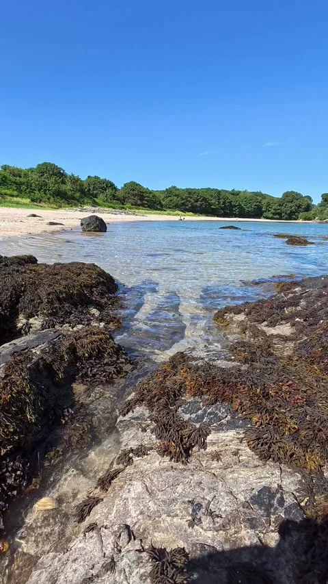 Vertical paradise island beach slow motion transparent ocean tide flowing over Video stock 339089685