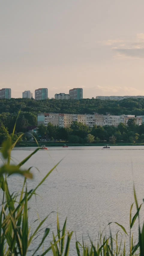 Vertical Park Stock Footage 277382780