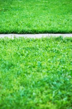 Vertical park path with green grass background Stock Photos