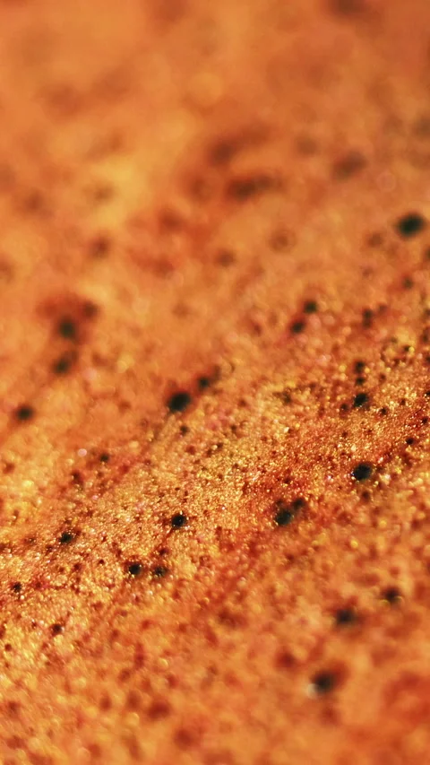 Vertical particles fluid shimmering paint bronze Stock Footage 311983536