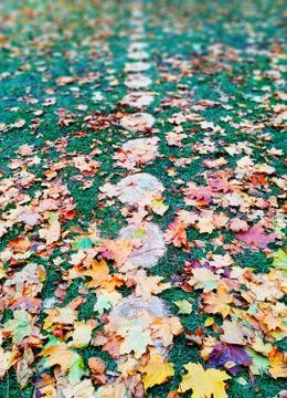 Vertical path autumn fall landscape background Stock Photos