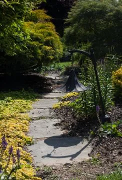 Vertical path leading through shrubbery Stock Photos