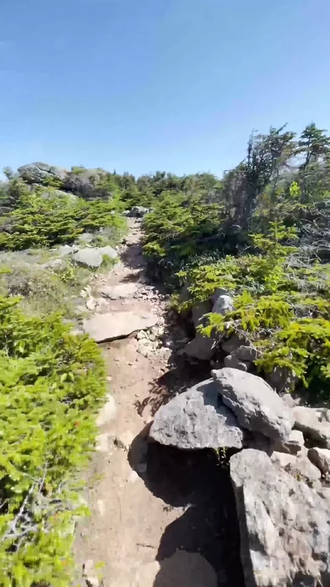 Vertical Path View of Stone Mountain Stock Footage 251655438