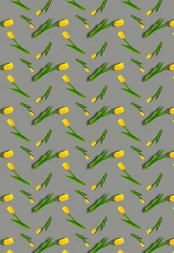 Vertical pattern with yellow tulips on a gray background. Floral background. Foto stock