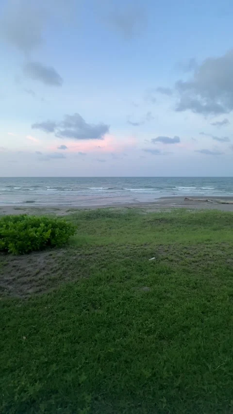 Vertical peaceful seaside view with grass, beach, and horizon Nautla Veracruz Stock Footage 314976889