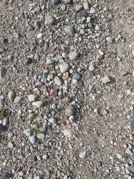 Vertical pebble background. Small stones of different colors scattered. Stock Photos