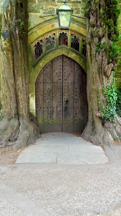 Vertical. Personal perspective walking towards old door framed by two trees. Stock-Footage 330966724