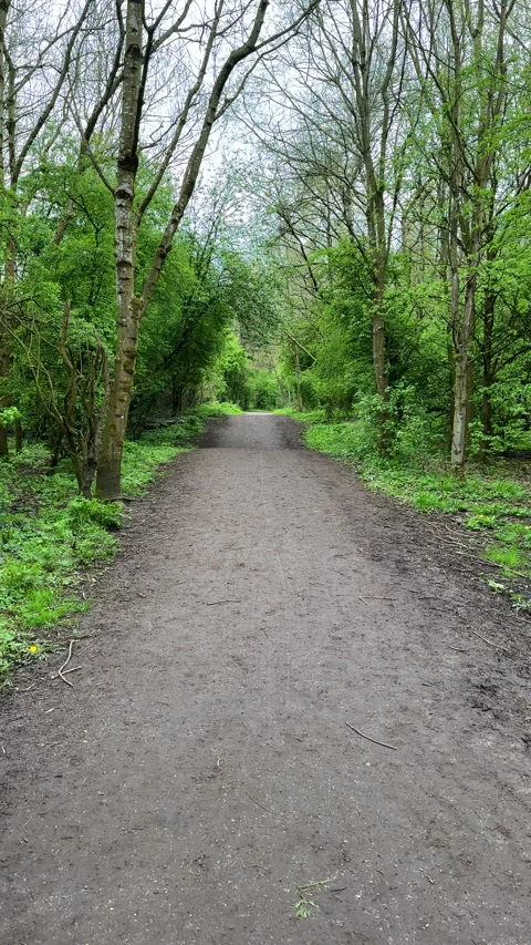 Vertical. Personal POV walking footpath in fresh greenery in spring. Vídeos de archivo 258652800