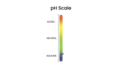 Vertical pH Scale diagram from acidic to alkaline Levels animation Stock Footage 332195484