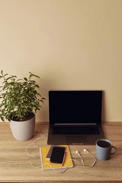 Vertical photo angle view to workspace desk. Laptop with blank screen, potted Foto stock