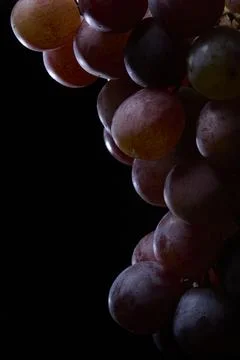 Vertical photo of grape bunch in dramatic low-key lighting Stock Photos