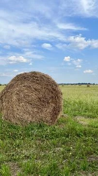 Vertical photo of haystack against the background of the sky and other haystacks Stock Photos