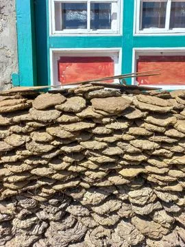 Vertical photo of a neat stack of dried yak dung , in Khumbu, Nepal. Stock Photos