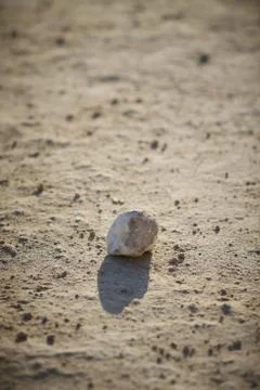 A vertical picture of stone with its reflection on the ground surrounded by d Stock Photos
